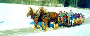 Kanefart og hestekjøring Oslo